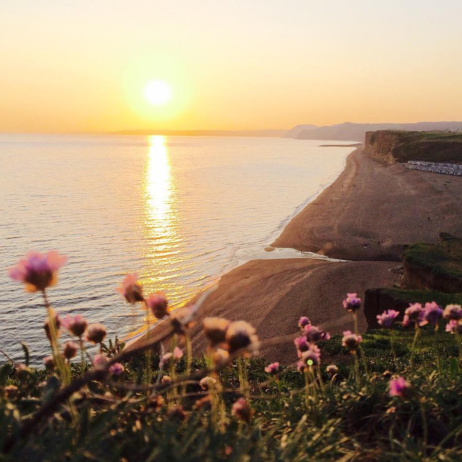 The Seaside Boarding House Hotell Burton Bradstock Exteriör bild
