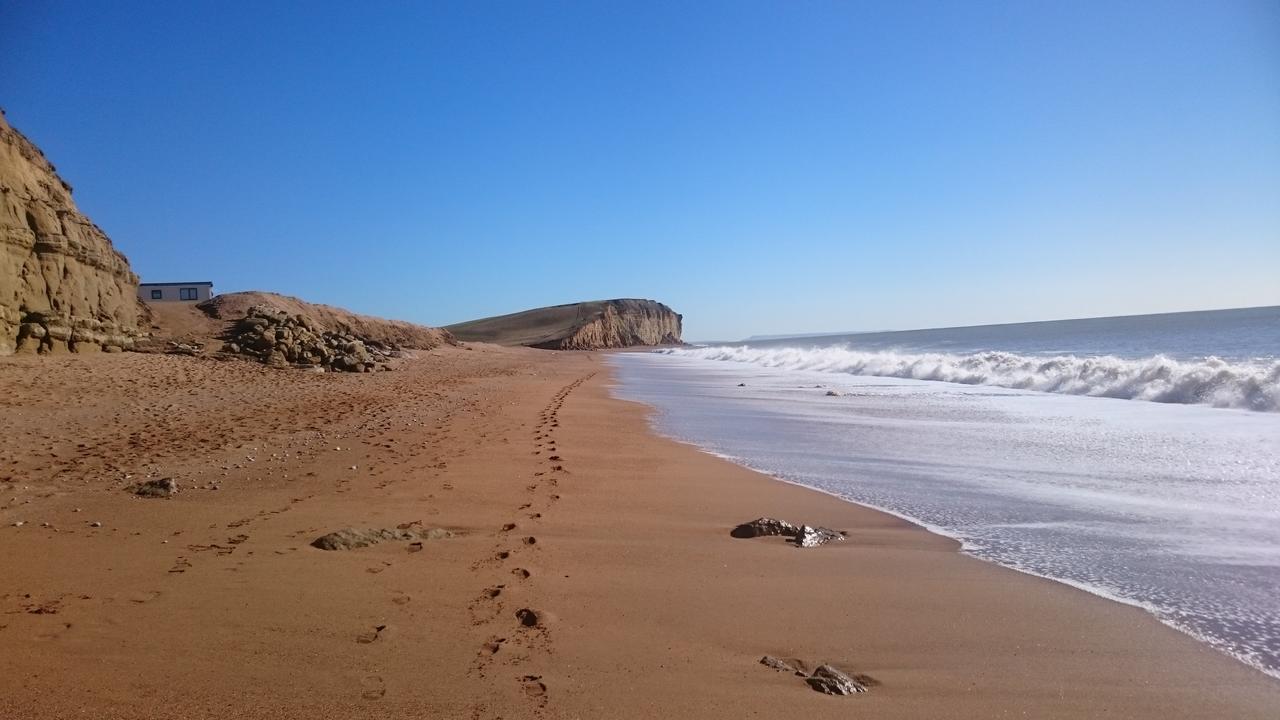 The Seaside Boarding House Hotell Burton Bradstock Exteriör bild